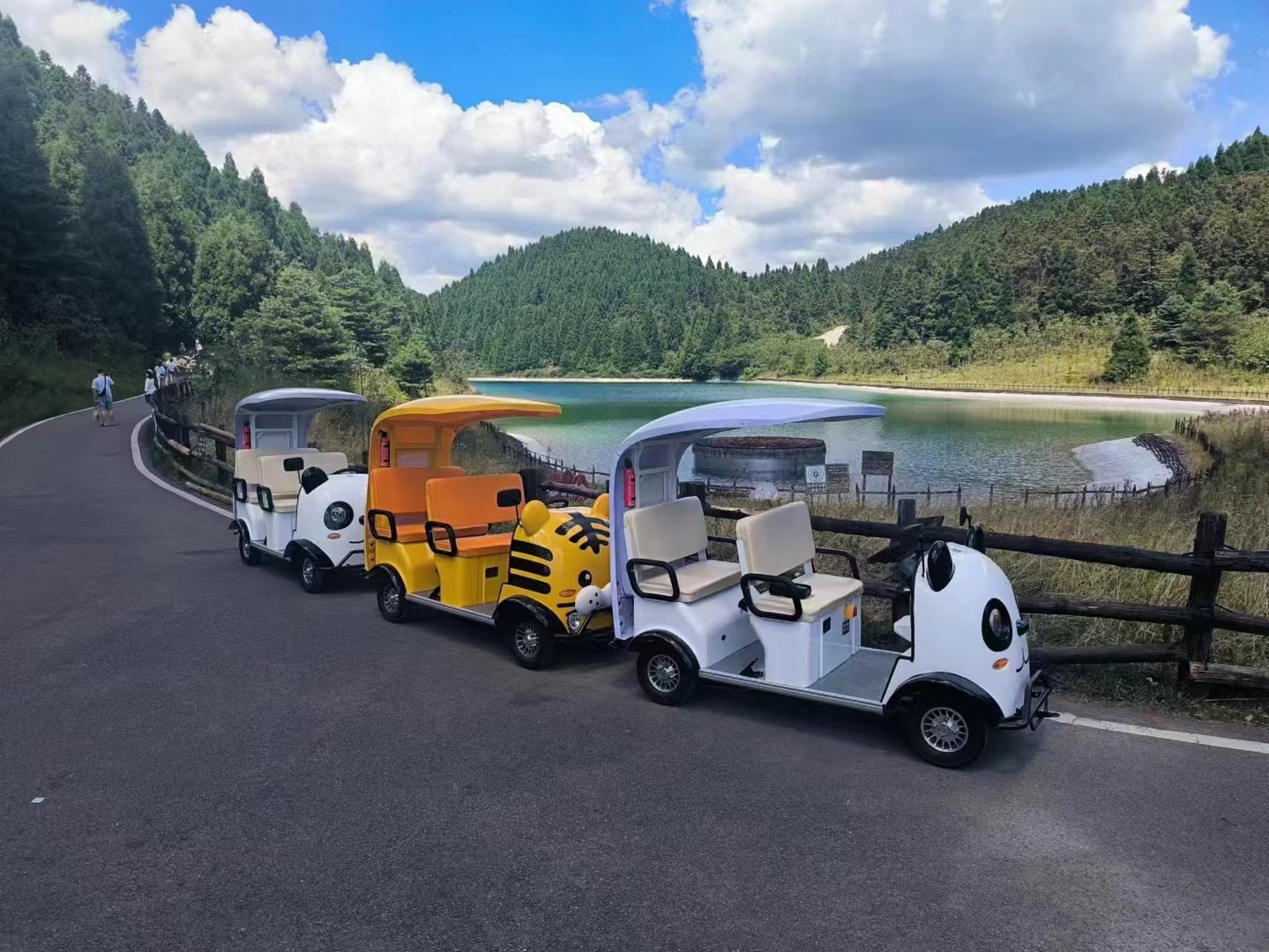 景區(qū)代步車