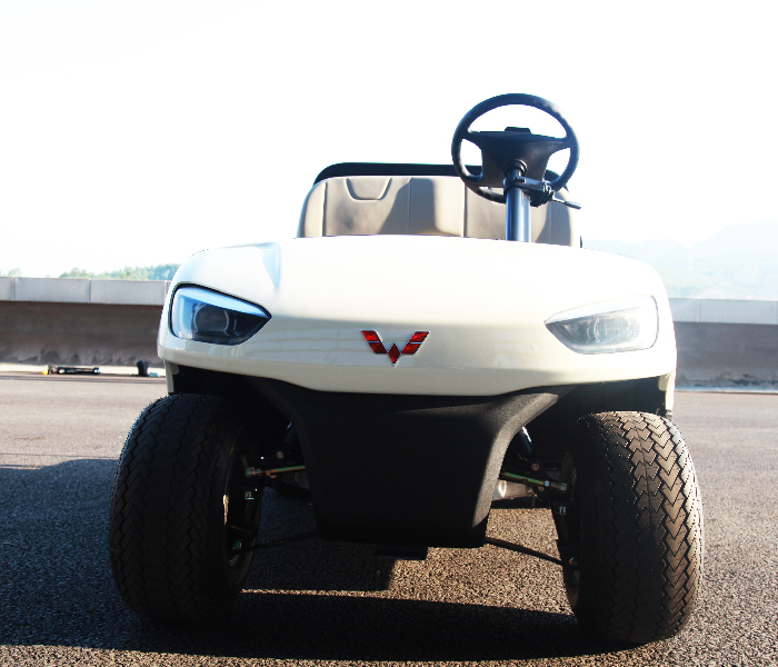 五菱電動高爾夫球車WLDT2